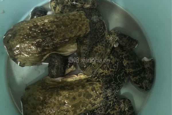 香烩牛蛙的做法图解3
