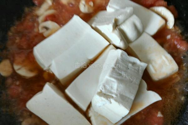 番茄烧豆腐的做法图解8