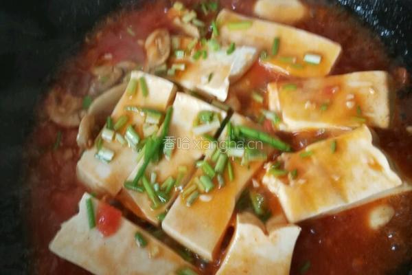 番茄烧豆腐的做法图解10