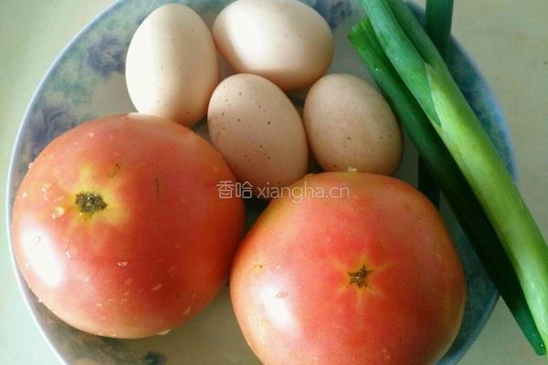 西红柿鸡蛋饺子的做法图解1