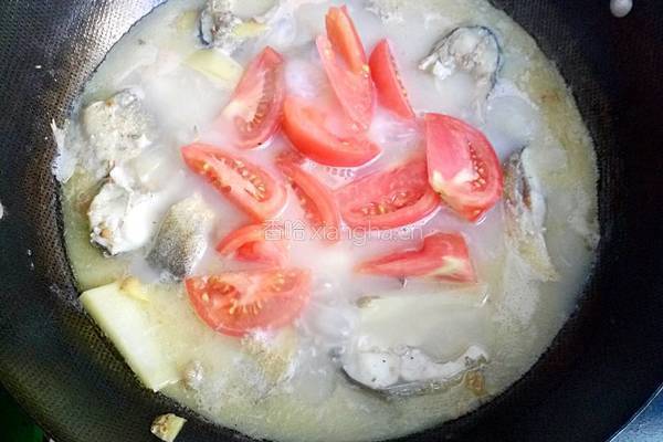 土豆番茄炖鱼汤的做法图解11