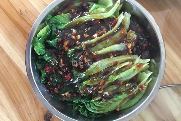 酱汁生菜