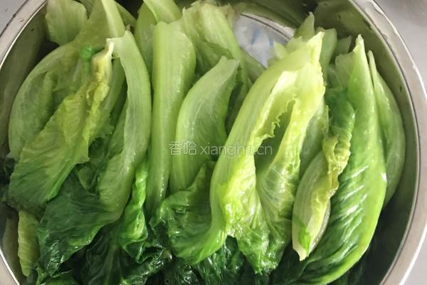 酱汁生菜的做法图解4