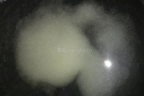 马蹄糕的做法图解5
