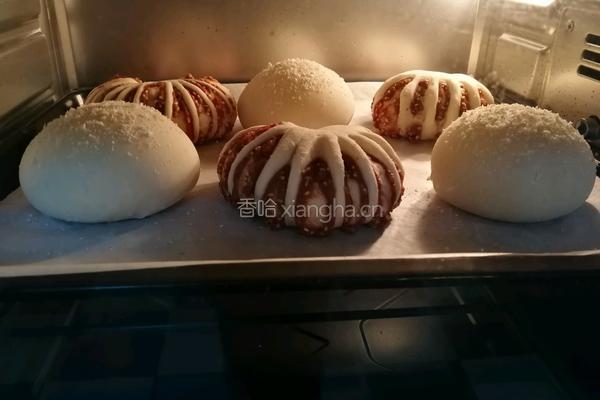 豆沙面包的做法图解10
