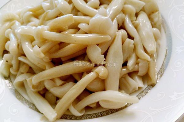 凉拌白玉菇的做法图解1