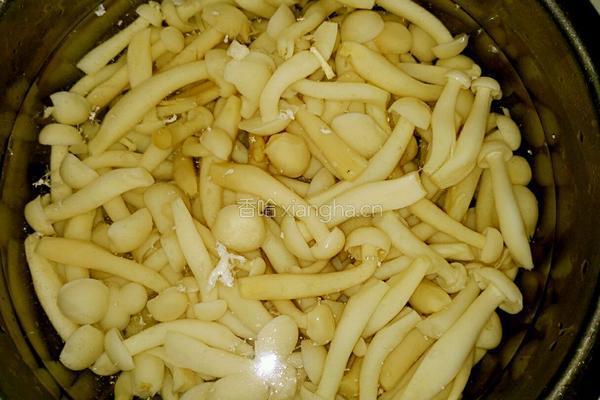 凉拌白玉菇的做法图解3