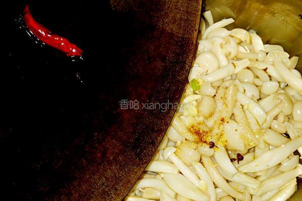 凉拌白玉菇的做法图解6