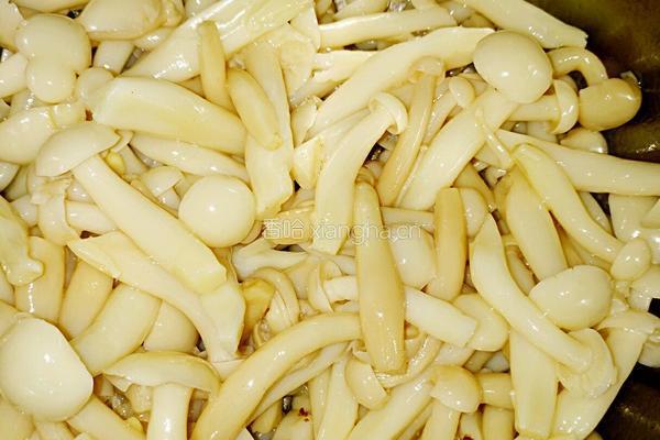 凉拌白玉菇的做法图解8