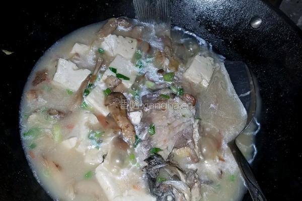 松茸鲫鱼豆腐汤的做法图解3