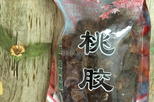 牛奶炖桃胶的做法图解1