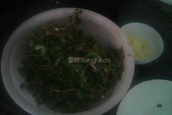 马齿苋炒肉的做法图解1