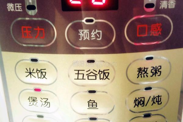 木瓜猪骨汤的做法图解5