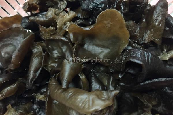 木耳炖排骨汤的做法图解1