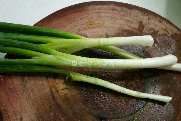蒜泥鼓汁排骨的做法图解6