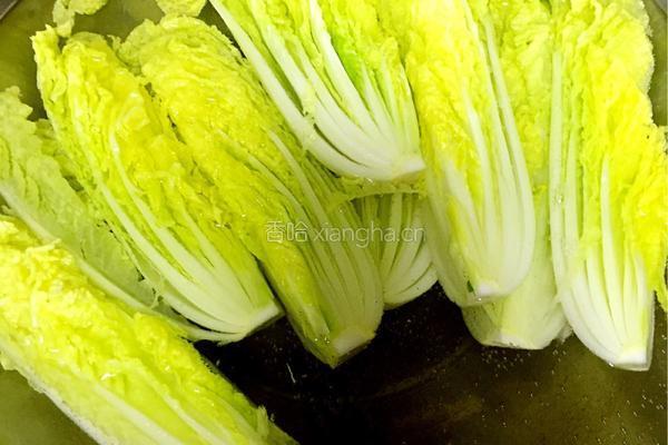 蒜蓉粉丝娃娃菜的做法图解3