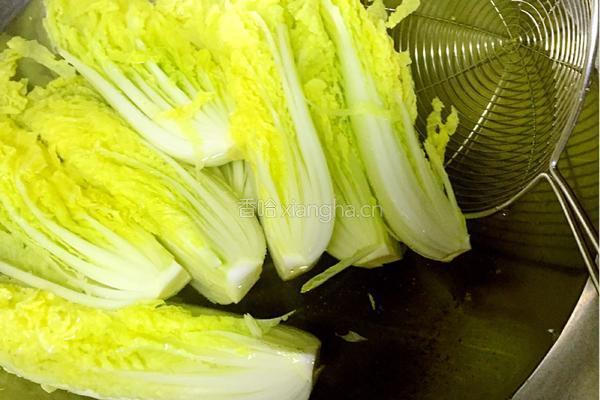 蒜蓉粉丝娃娃菜的做法图解6