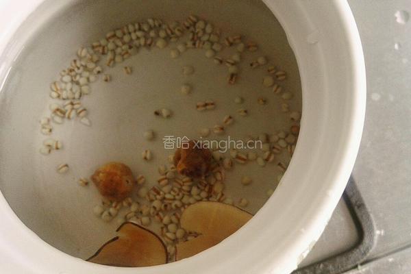 薏米筒骨汤的做法图解4