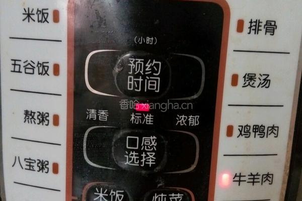土豆炖牛肉的做法图解5