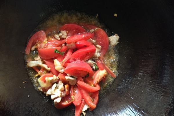 大头菜炒西红柿肉片的做法图解6
