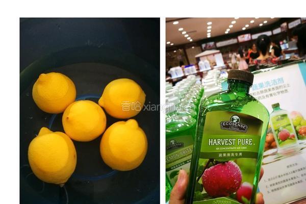 （自制）蜂蜜柠檬茶的做法图解1