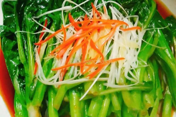 白灼菜心的做法图解15