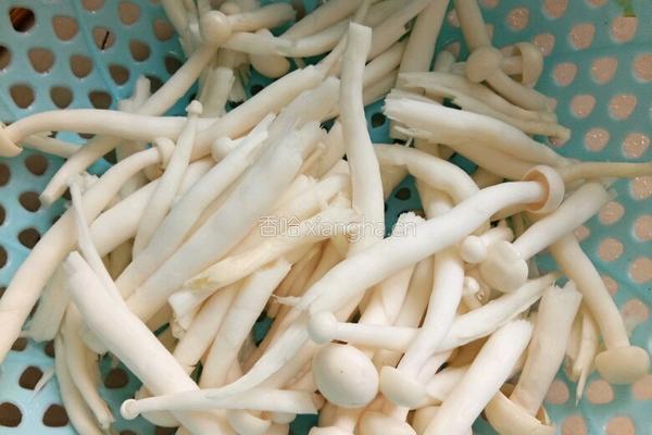 海鲜菇山药肉汤的做法图解1