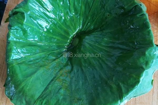 荷叶糯米鸡的做法图解9