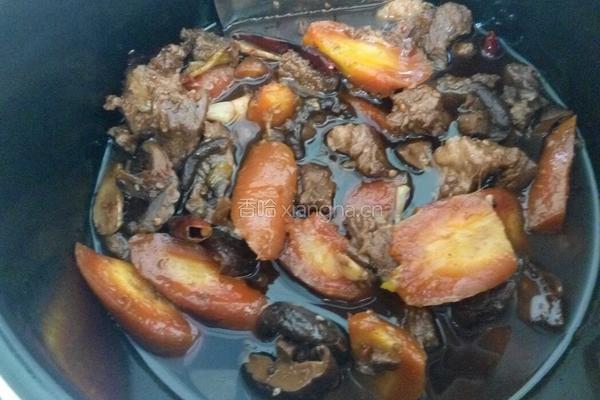 红萝卜炖牛肉的做法图解9