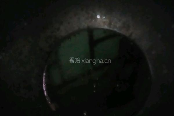 红烧鳊鱼的做法图解3