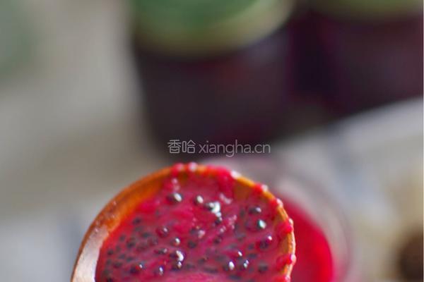 红心火龙果酱的做法图解4