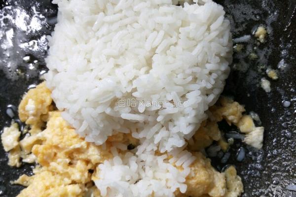 黄瓜胡萝卜蛋炒饭（蔬式蛋炒饭）的做法图解5