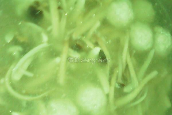 圆子茶树菇汤的做法图解7