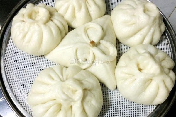 芥菜肉丁包 中种发面法的做法图解8