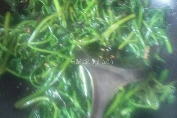 爆炒红薯叶尖的做法图解8