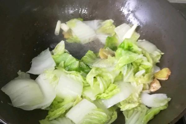 白菜炖豆腐的做法图解8