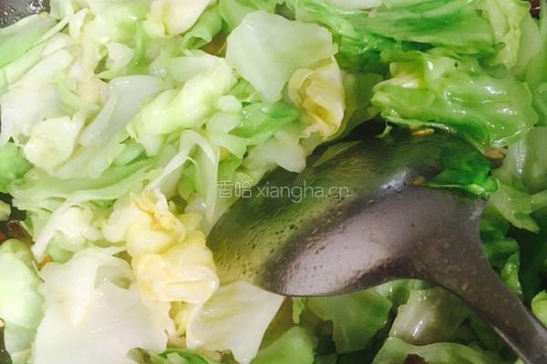 耗油手撕包菜的做法图解11