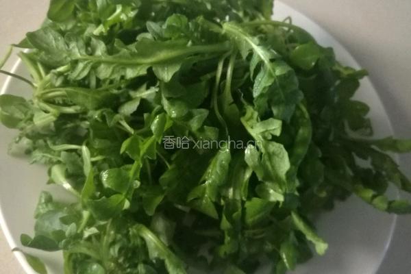 荠菜馄饨的做法图解2