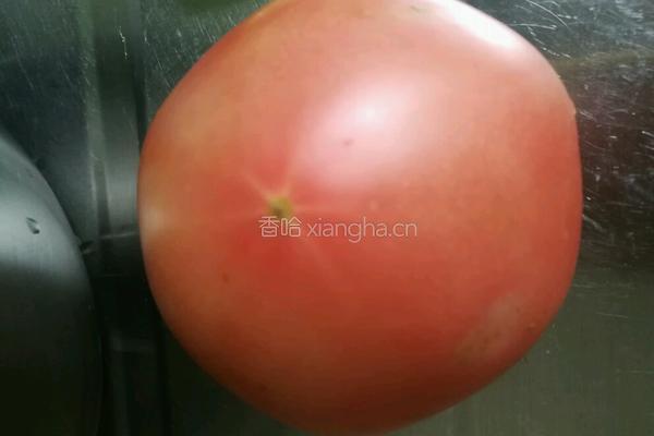 西红柿猪肉饺的做法图解2