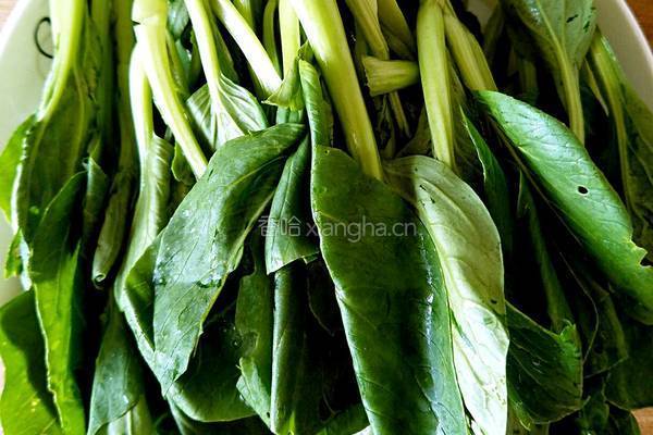 香菇扒油菜的做法图解3