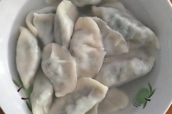 韭菜粉丝鸡蛋瘦肉饺子的做法图解8