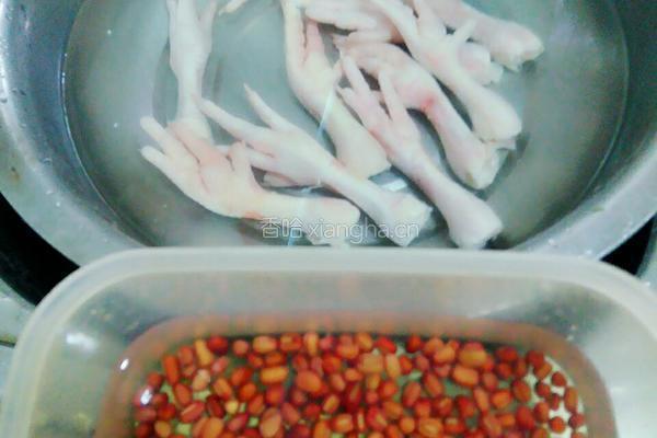 红豆凤爪汤的做法图解1
