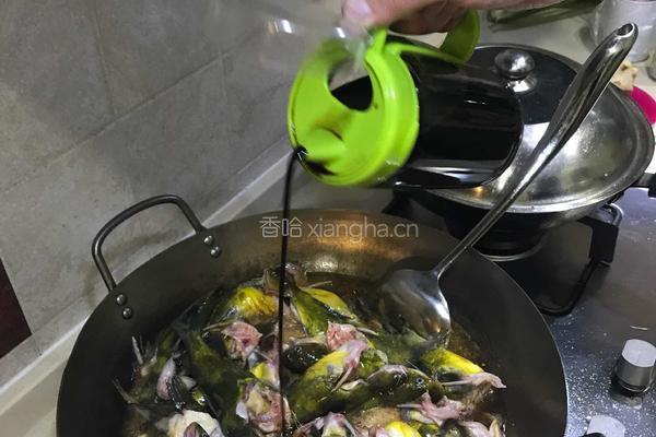 家常炖鱼的做法图解18