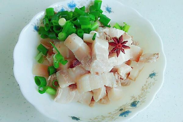 红烧肉的做法图解5