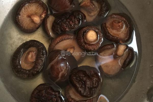 香菇粉丝猪肉包子的做法图解3