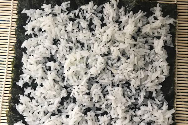 家庭版寿司的做法图解5