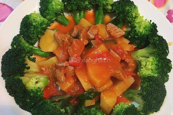 番茄土豆焖牛肉的做法图解14