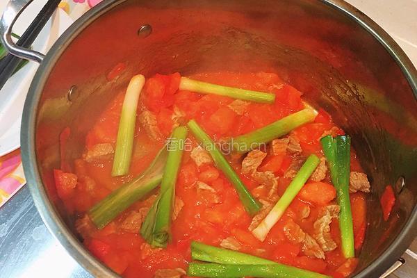 番茄土豆焖牛肉的做法图解5