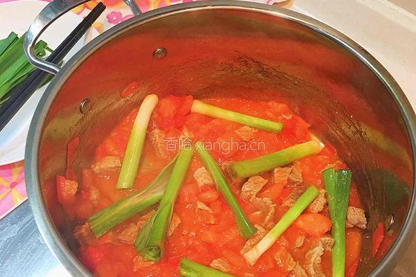 番茄土豆焖牛肉的做法图解6