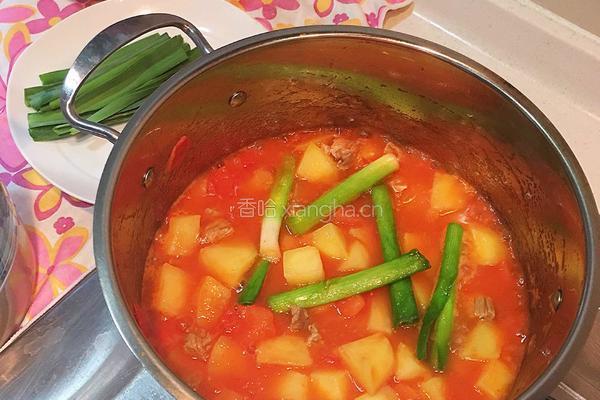 番茄土豆焖牛肉的做法图解8
